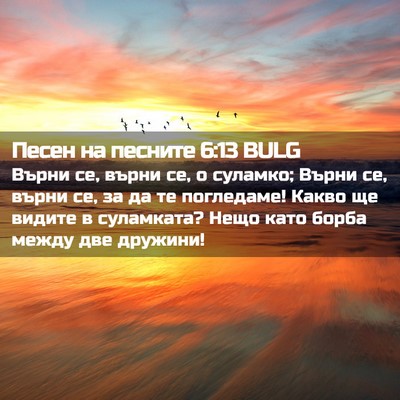 Picture 02 - Песен на песните 6:13 BULG - Върни се, върни се, о - Bible Verse Picture