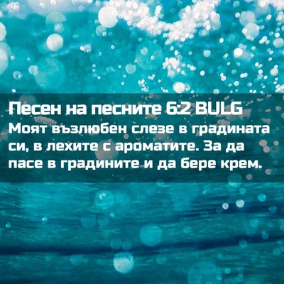 Picture 02 - Песен на песните 6:2 BULG - Моят възлюбен слезе в - Bible Verse Picture