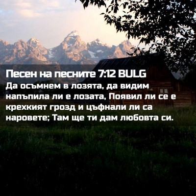 Picture 02 - Песен на песните 7:12 BULG - Да осъмнем в лозята, да - Bible Verse Picture