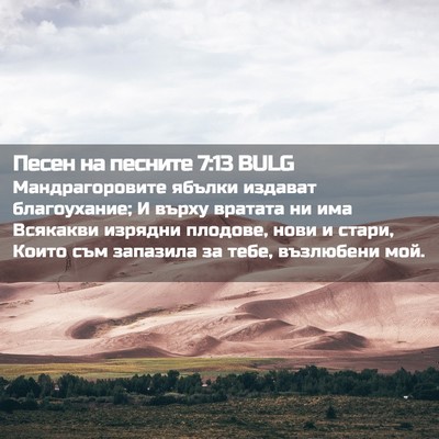 Picture 02 - Песен на песните 7:13 BULG - Мандрагоровите ябълки - Bible Verse Picture