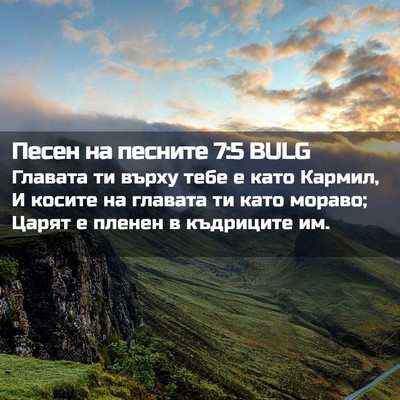 Picture 02 - Песен на песните 7:5 BULG - Главата ти върху тебе е - Bible Verse Picture