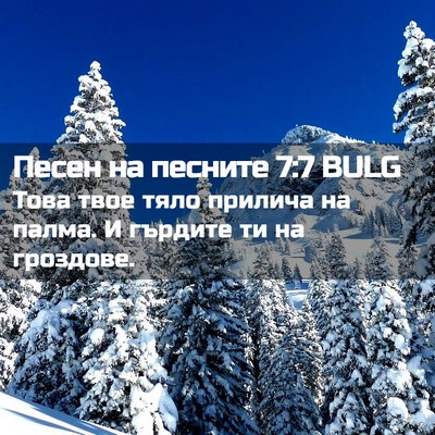Picture 02 - Песен на песните 7:7 BULG - Това твое тяло прилича на - Bible Verse Picture