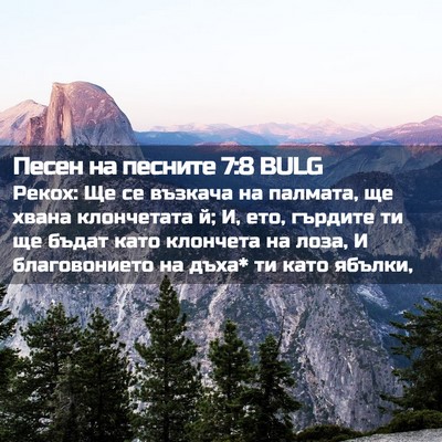 Picture 02 - Песен на песните 7:8 BULG - Рекох: Ще се възкача на - Bible Verse Picture