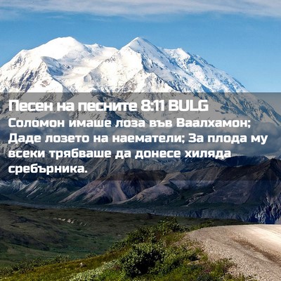 Picture 02 - Песен на песните 8:11 BULG - Соломон имаше лоза във - Bible Verse Picture