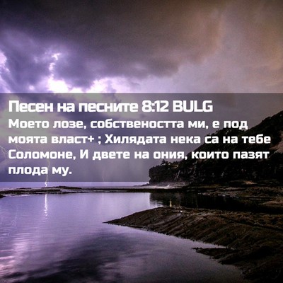 Picture 02 - Песен на песните 8:12 BULG - Моето лозе, собствеността - Bible Verse Picture