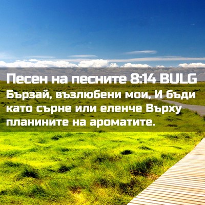 Picture 02 - Песен на песните 8:14 BULG - Бързай, възлюбени мои, И - Bible Verse Picture