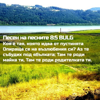 Picture 02 - Песен на песните 8:5 BULG - Коя е тая, която идва от - Bible Verse Picture