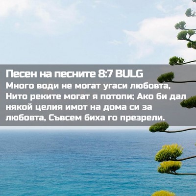 Picture 02 - Песен на песните 8:7 BULG - Много води не могат угаси - Bible Verse Picture