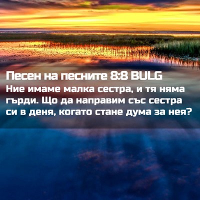 Picture 02 - Песен на песните 8:8 BULG - Ние имаме малка сестра, и - Bible Verse Picture