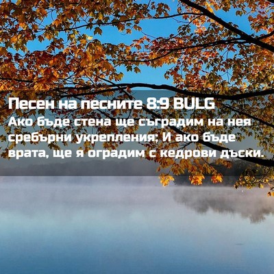 Picture 02 - Песен на песните 8:9 BULG - Ако бъде стена ще съградим - Bible Verse Picture