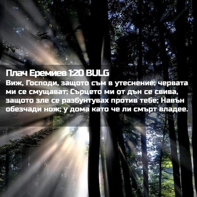 Picture 02 - Плач Еремиев 1:20 BULG - Виж, Господи, защото съм в - Bible Verse Picture