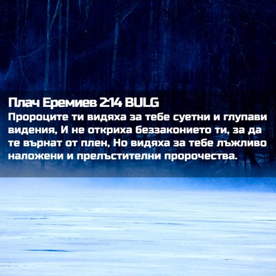 Picture 02 - Плач Еремиев 2:14 BULG - Пророците ти видяха за - Bible Verse Picture