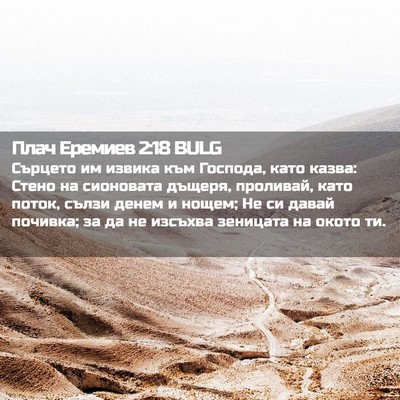Picture 02 - Плач Еремиев 2:18 BULG - Сърцето им извика към - Bible Verse Picture