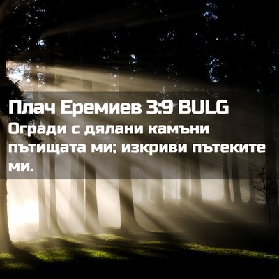 Picture 02 - Плач Еремиев 3:9 BULG - Огради с дялани камъни - Bible Verse Picture
