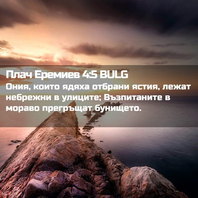 Picture 02 - Плач Еремиев 4:5 BULG - Ония, които ядяха отбрани - Bible Verse Picture