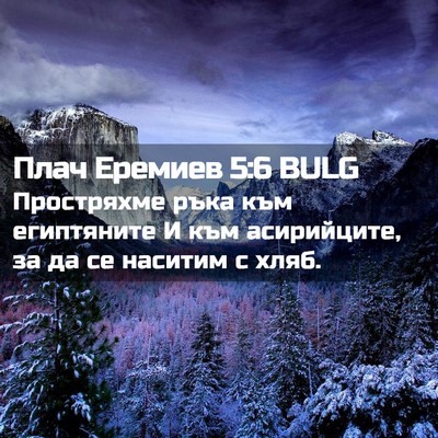 Picture 02 - Плач Еремиев 5:6 BULG - Простряхме ръка към - Bible Verse Picture