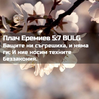Picture 02 - Плач Еремиев 5:7 BULG - Бащите ни съгрешиха, и няма - Bible Verse Picture