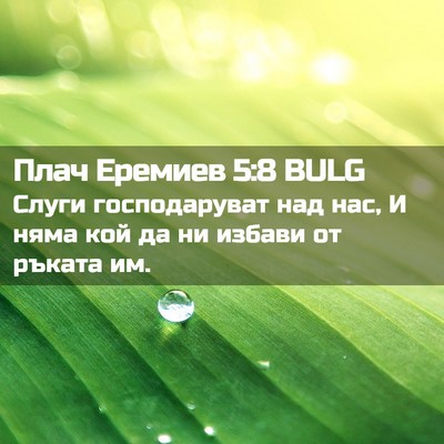 Picture 02 - Плач Еремиев 5:8 BULG - Слуги господаруват над - Bible Verse Picture