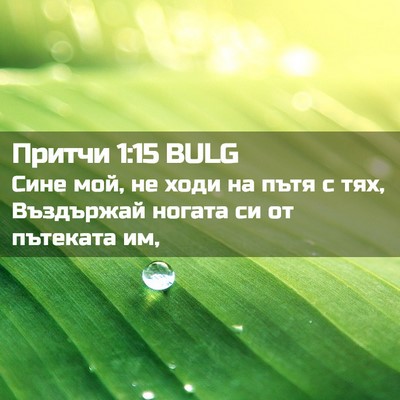 Picture 02 - Притчи 1:15 BULG - Сине мой, не ходи на пътя с - Bible Verse Picture