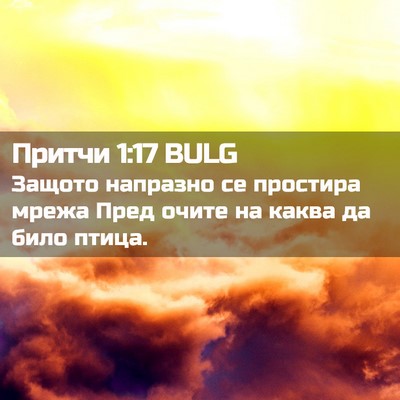 Picture 02 - Притчи 1:17 BULG - Защото напразно се - Bible Verse Picture