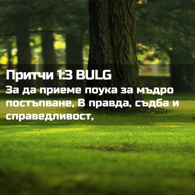 Picture 02 - Притчи 1:3 BULG - За да приеме поука за мъдро - Bible Verse Picture