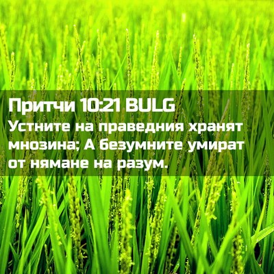 Picture 02 - Притчи 10:21 BULG - Устните на праведния - Bible Verse Picture