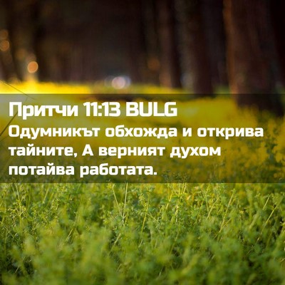 Picture 02 - Притчи 11:13 BULG - Одумникът обхожда и - Bible Verse Picture