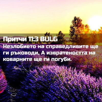 Picture 02 - Притчи 11:3 BULG - Незлобието на - Bible Verse Picture