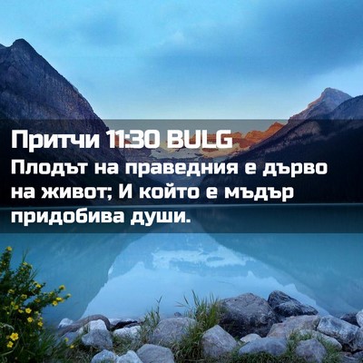 Picture 02 - Притчи 11:30 BULG - Плодът на праведния е - Bible Verse Picture