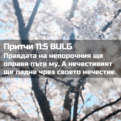 Picture 02 - Притчи 11:5 BULG - Правдата на непорочния ще - Bible Verse Picture