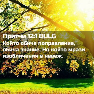 Picture 02 - Притчи 12:1 BULG - Който обича поправление, - Bible Verse Picture
