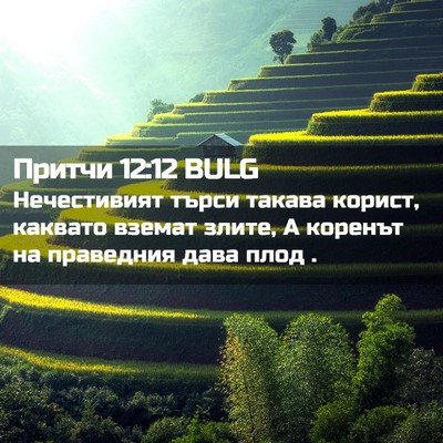 Picture 02 - Притчи 12:12 BULG - Нечестивият търси такава - Bible Verse Picture