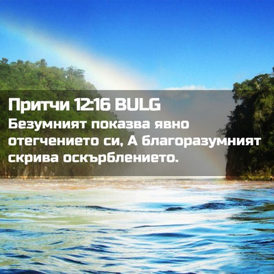 Picture 02 - Притчи 12:16 BULG - Безумният показва явно - Bible Verse Picture