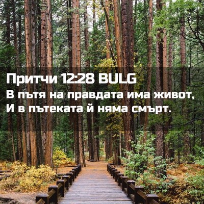 Picture 02 - Притчи 12:28 BULG - В пътя на правдата има - Bible Verse Picture