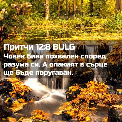 Picture 02 - Притчи 12:8 BULG - Човек бива похвален според - Bible Verse Picture