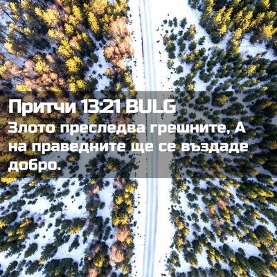 Picture 02 - Притчи 13:21 BULG - Злото преследва грешните, - Bible Verse Picture