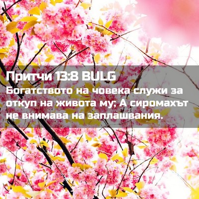 Picture 02 - Притчи 13:8 BULG - Богатството на човека - Bible Verse Picture