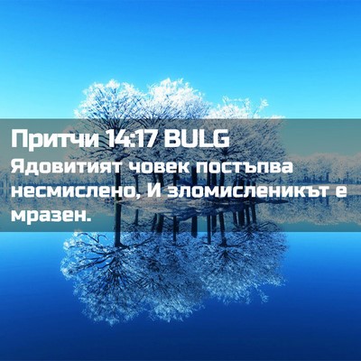 Picture 02 - Притчи 14:17 BULG - Ядовитият човек постъпва - Bible Verse Picture