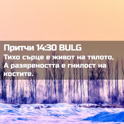 Picture 02 - Притчи 14:30 BULG - Тихо сърце е живот на - Bible Verse Picture
