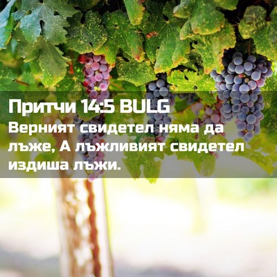 Picture 02 - Притчи 14:5 BULG - Верният свидетел няма да - Bible Verse Picture