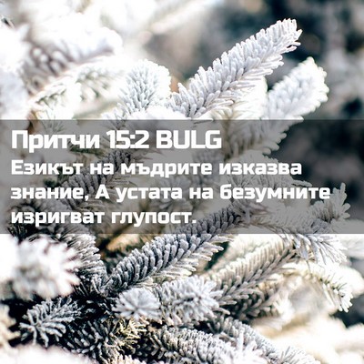 Picture 02 - Притчи 15:2 BULG - Езикът на мъдрите изказва - Bible Verse Picture