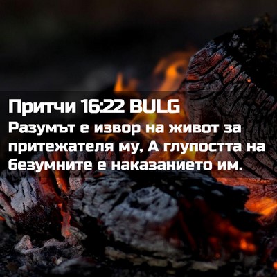 Picture 02 - Притчи 16:22 BULG - Разумът е извор на живот за - Bible Verse Picture