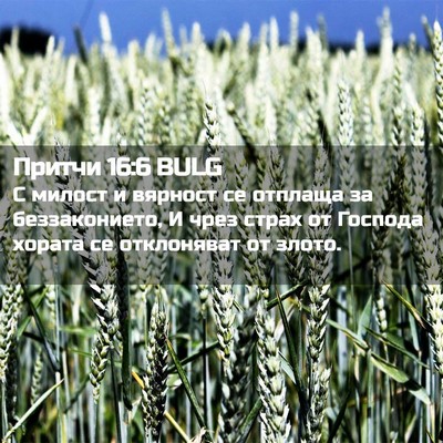 Picture 02 - Притчи 16:6 BULG - С милост и вярност се - Bible Verse Picture