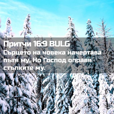 Picture 02 - Притчи 16:9 BULG - Сърцето на човека - Bible Verse Picture