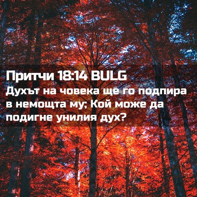 Picture 02 - Притчи 18:14 BULG - Духът на човека ще го - Bible Verse Picture