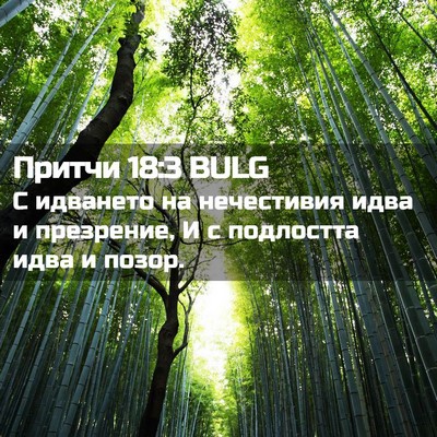 Picture 02 - Притчи 18:3 BULG - С идването на нечестивия - Bible Verse Picture