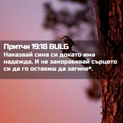 Picture 02 - Притчи 19:18 BULG - Наказвай сина си докато - Bible Verse Picture