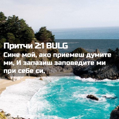 Picture 02 - Притчи 2:1 BULG - Сине мой, ако приемеш - Bible Verse Picture
