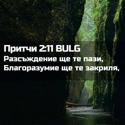 Picture 02 - Притчи 2:11 BULG - Разсъждение ще те пази, - Bible Verse Picture