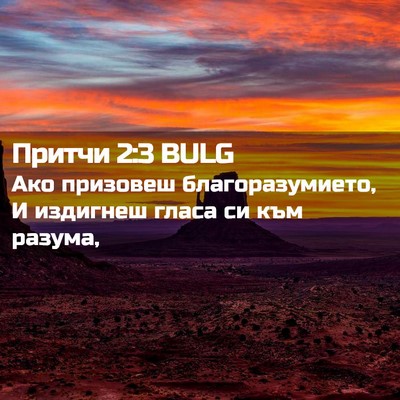 Picture 02 - Притчи 2:3 BULG - Ако призовеш - Bible Verse Picture